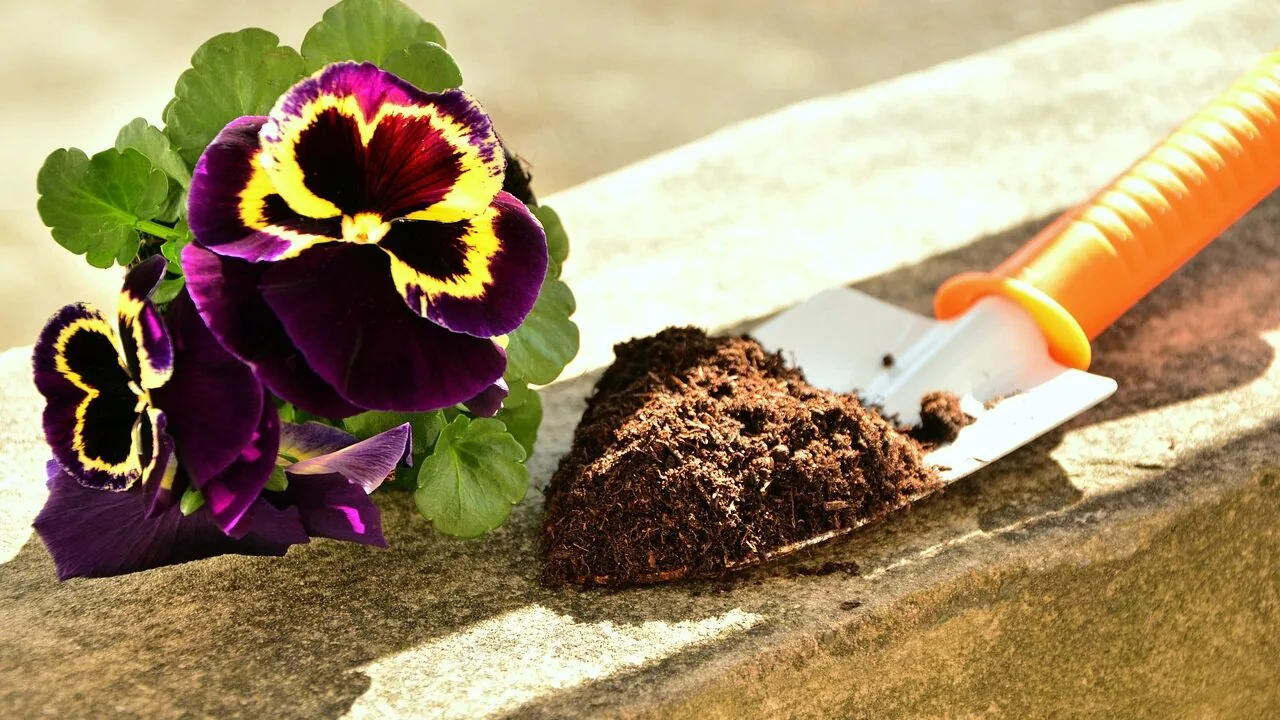 Garden Shovels Worth Buying for Every Yard and Budget