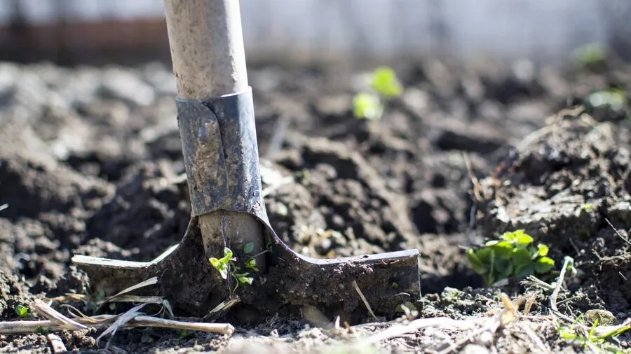 Gardener assembling wheelbarrow in backyard garden setting