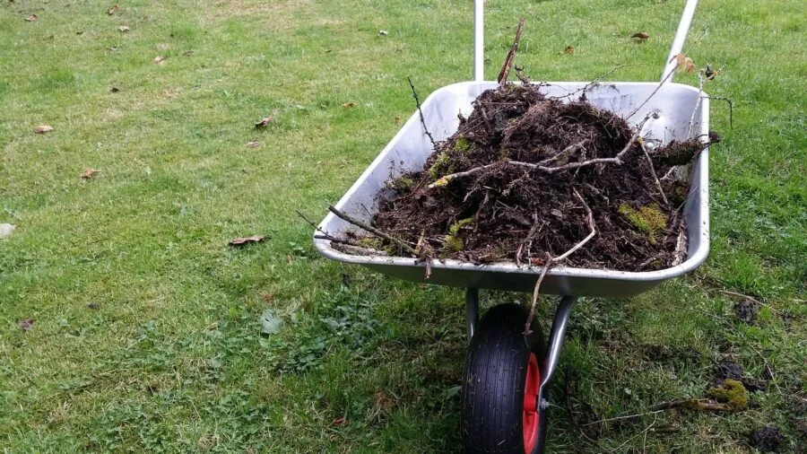 Gardener filling wheelbarrow with soil in outdoor garden setting