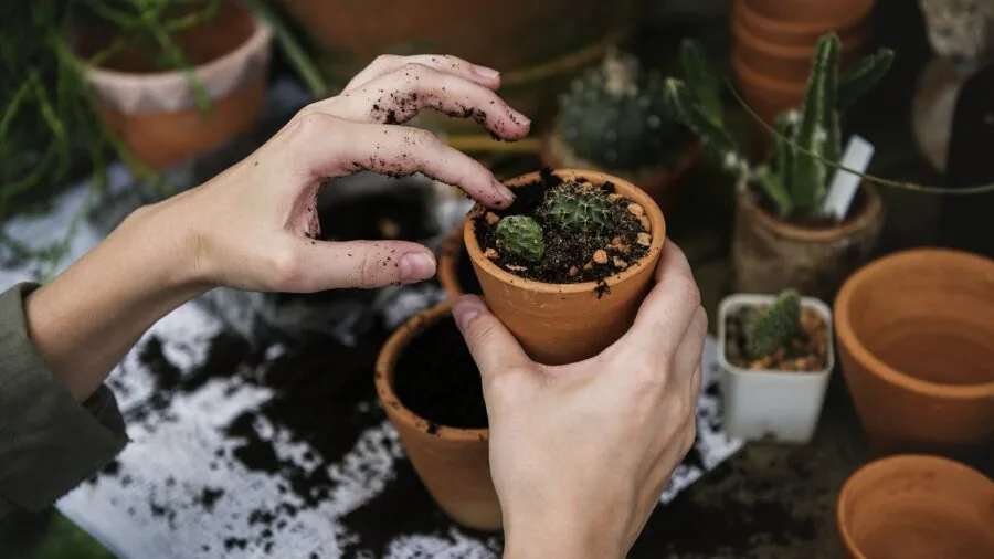 Gardener handling soil and materials in outdoor garden setting with natural daylight