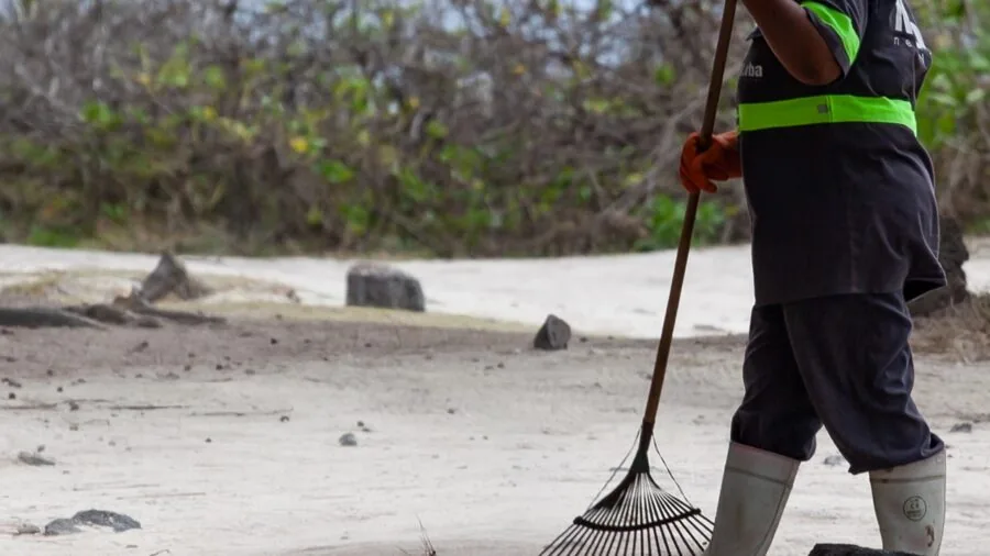 Gardener raking soil in home garden during spring maintenance work