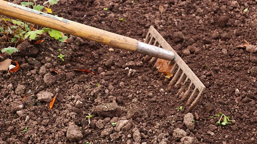 Gardener testing soil moisture in garden bed with hands and tools