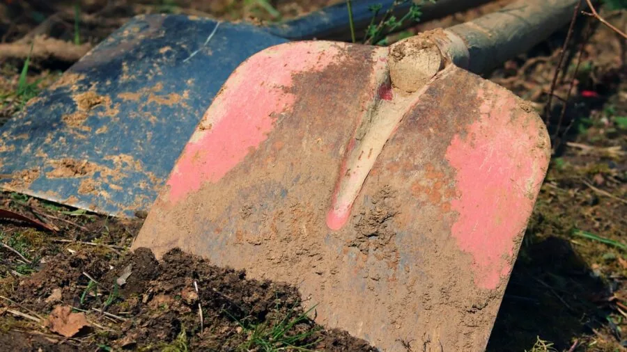 Gardener using a long-handled shovel to dig soil in a vegetable garden bed