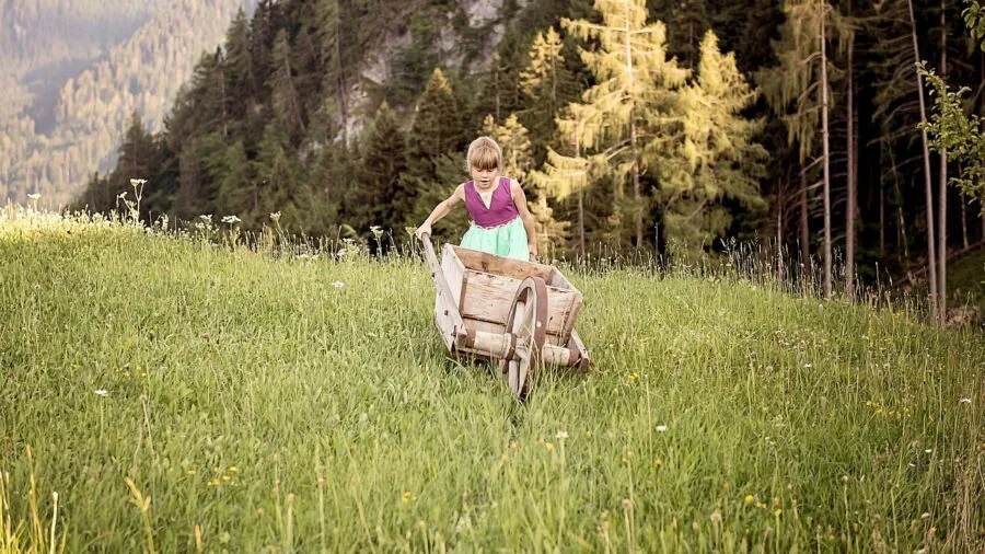 Gardener using wheelbarrow while working in backyard garden with soil and plants