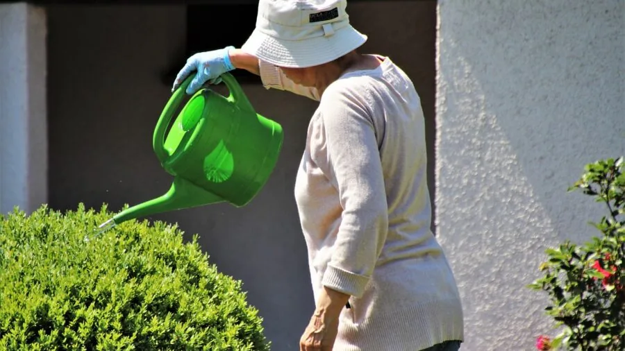 Gardener watering plants in garden holding watering can with proper ergonomic grip