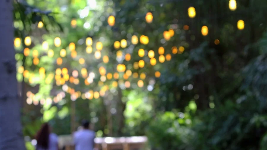 Glowing string lights strung across an outdoor garden space during twilight hours