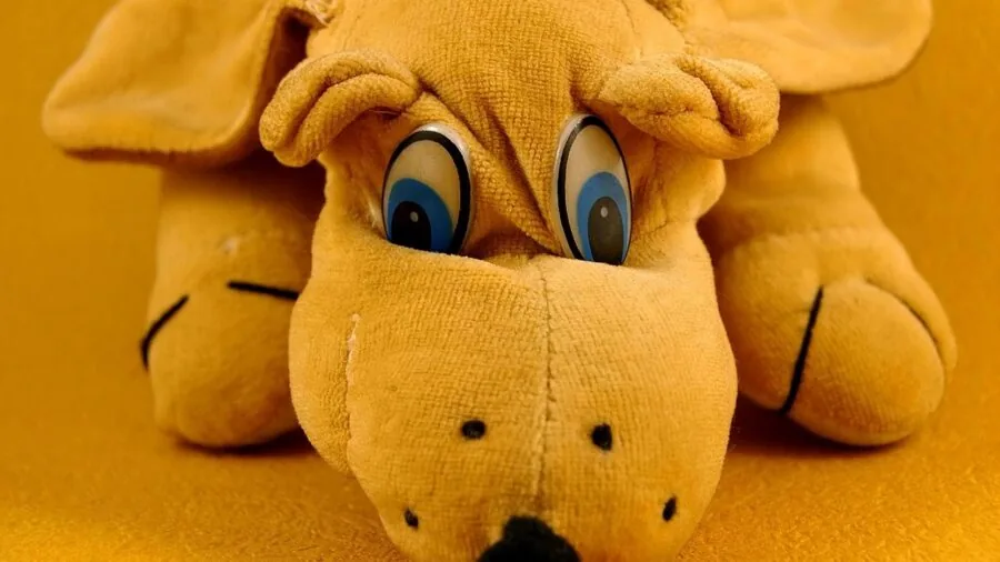 Golden retriever gently carrying plush toy in mouth during outdoor play