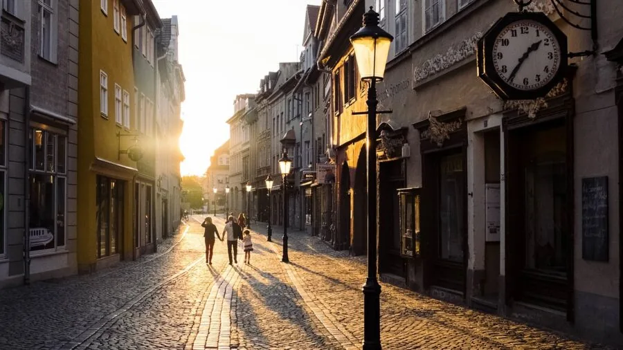 Golden retriever passing through an open doorway, demonstrating proper door fit and clearance for pets