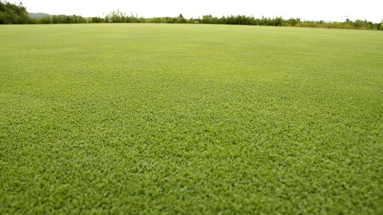 Golf wedges displayed on grass with golf course background