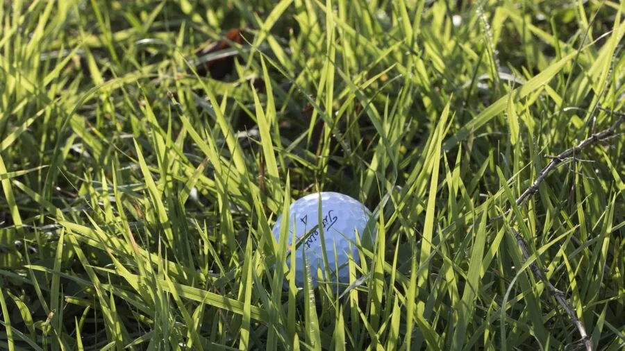 Golfer searching for ball in tall grass during daytime round