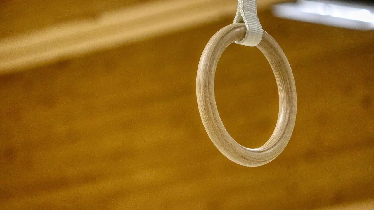Gymnastic Rings Worth Buying for Every Training Level