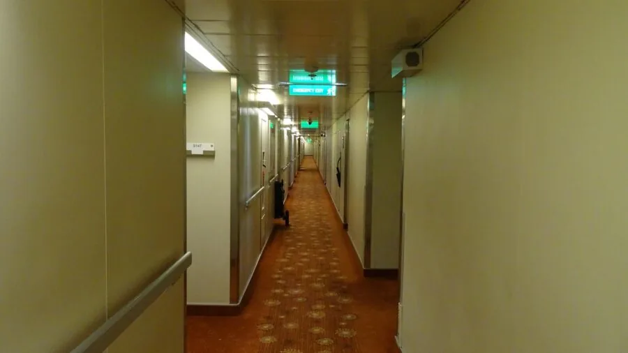 Hallway with long runner rug creating defined pathway in home interior