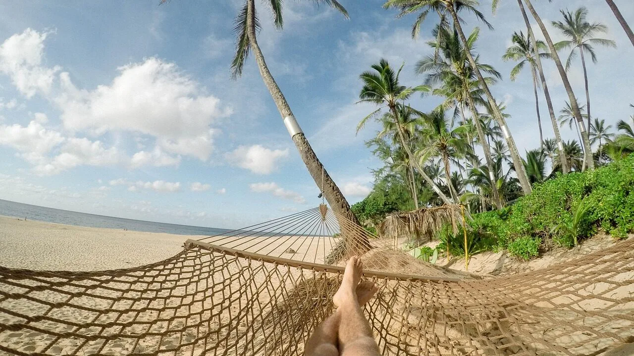 Hammock suspended between two trees in outdoor setting with natural lighting