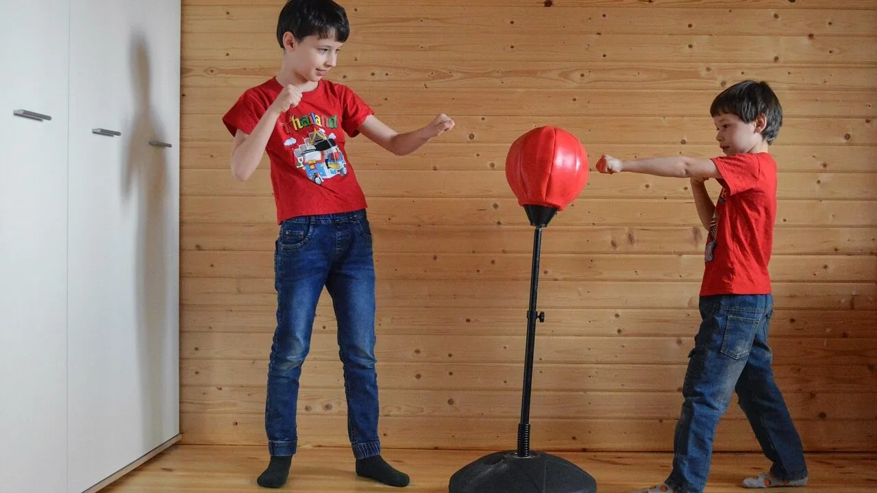 Punching Bags Worth Buying for Every Training Style