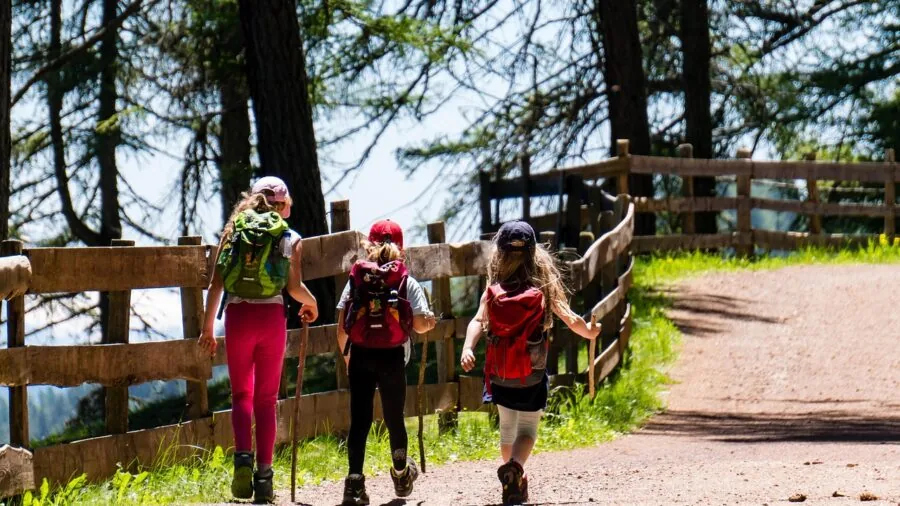 Hiker in woodland checking device during outdoor nature walk
