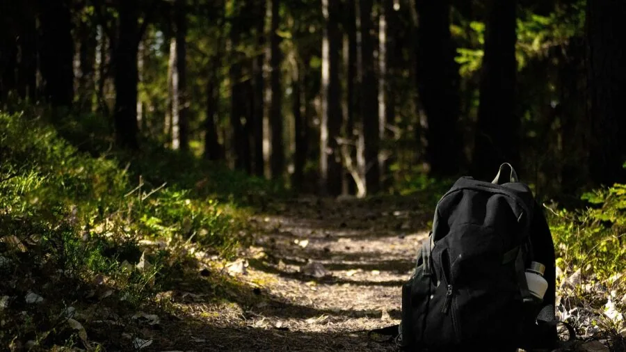 Hiker with light backpack walking through forested mountain trail during daytime