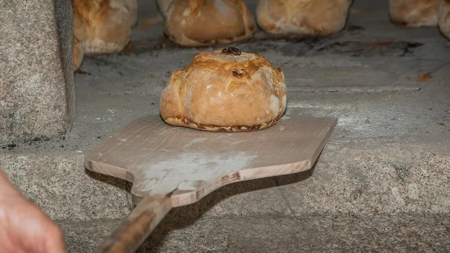 Home baker monitoring bread baking in oven, checking temperature gauge while baking