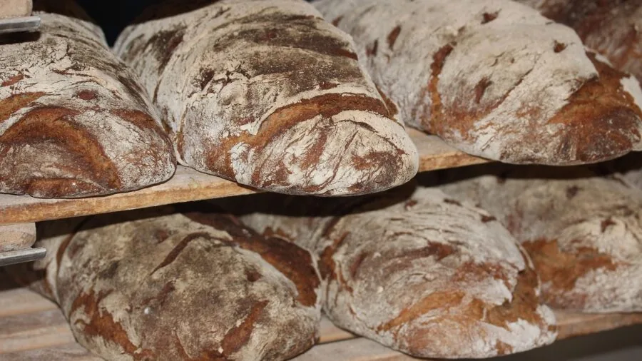 Homemade bread loaf with visible nuts and dried fruit mix-ins on wooden surface