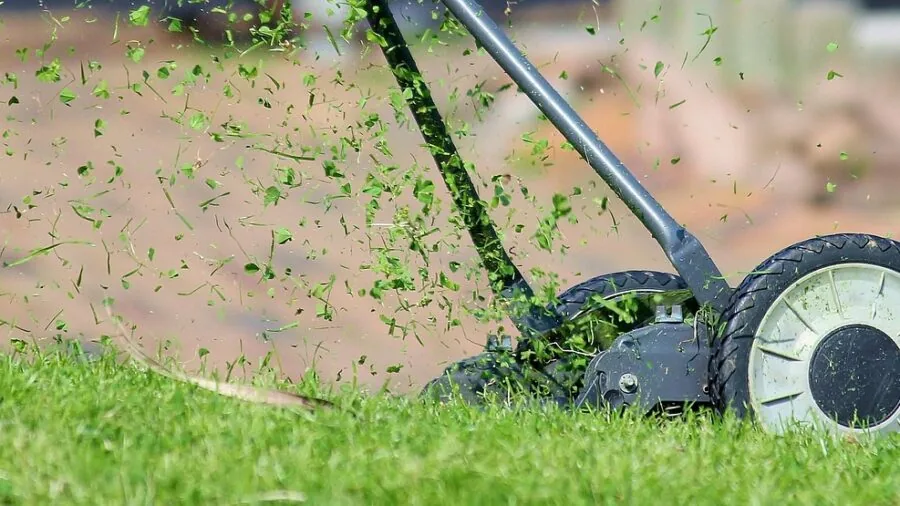 Homeowner adjusting lawn mower deck height for seasonal grass care and maintenance