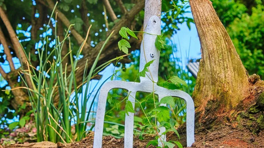 Homeowner arranging gardening equipment in backyard for organized storage and maintenance