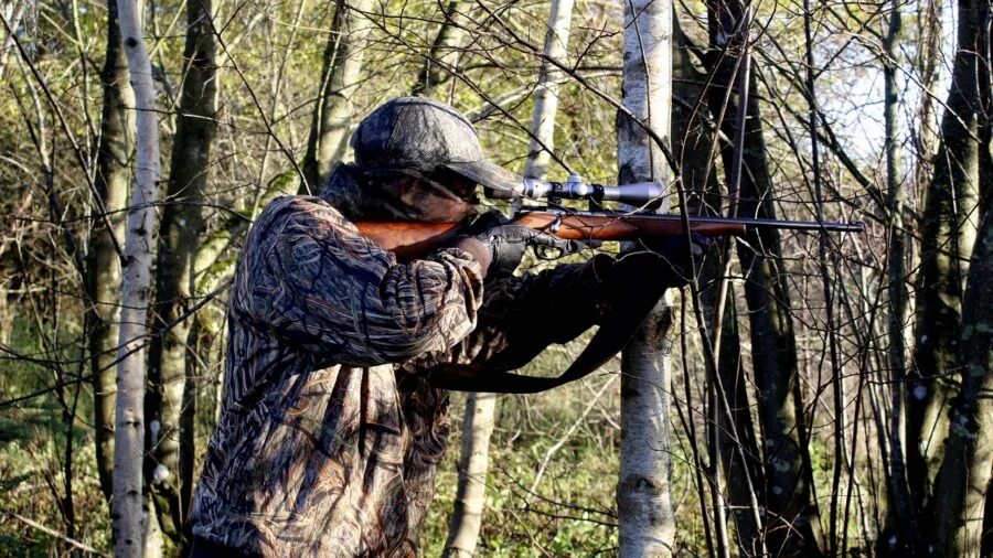 Hunter in camouflage aiming rifle during early morning light in forest setting