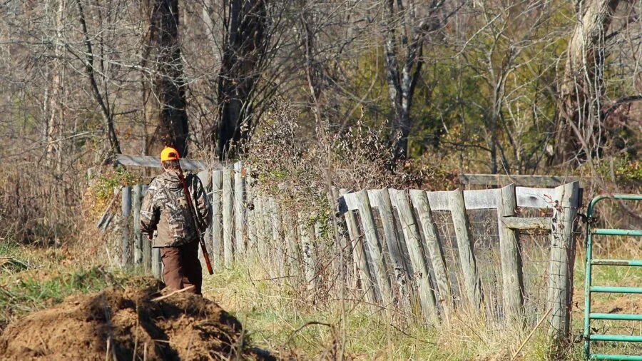Hunter in camouflage aiming rifle through forest terrain during outdoor hunting expedition
