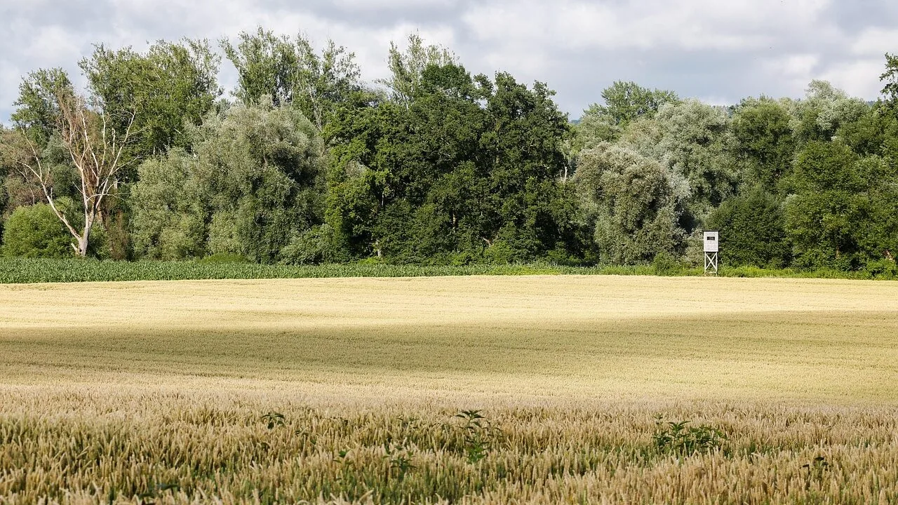 The Best Hunting Blinds for Every Hunter and Budget