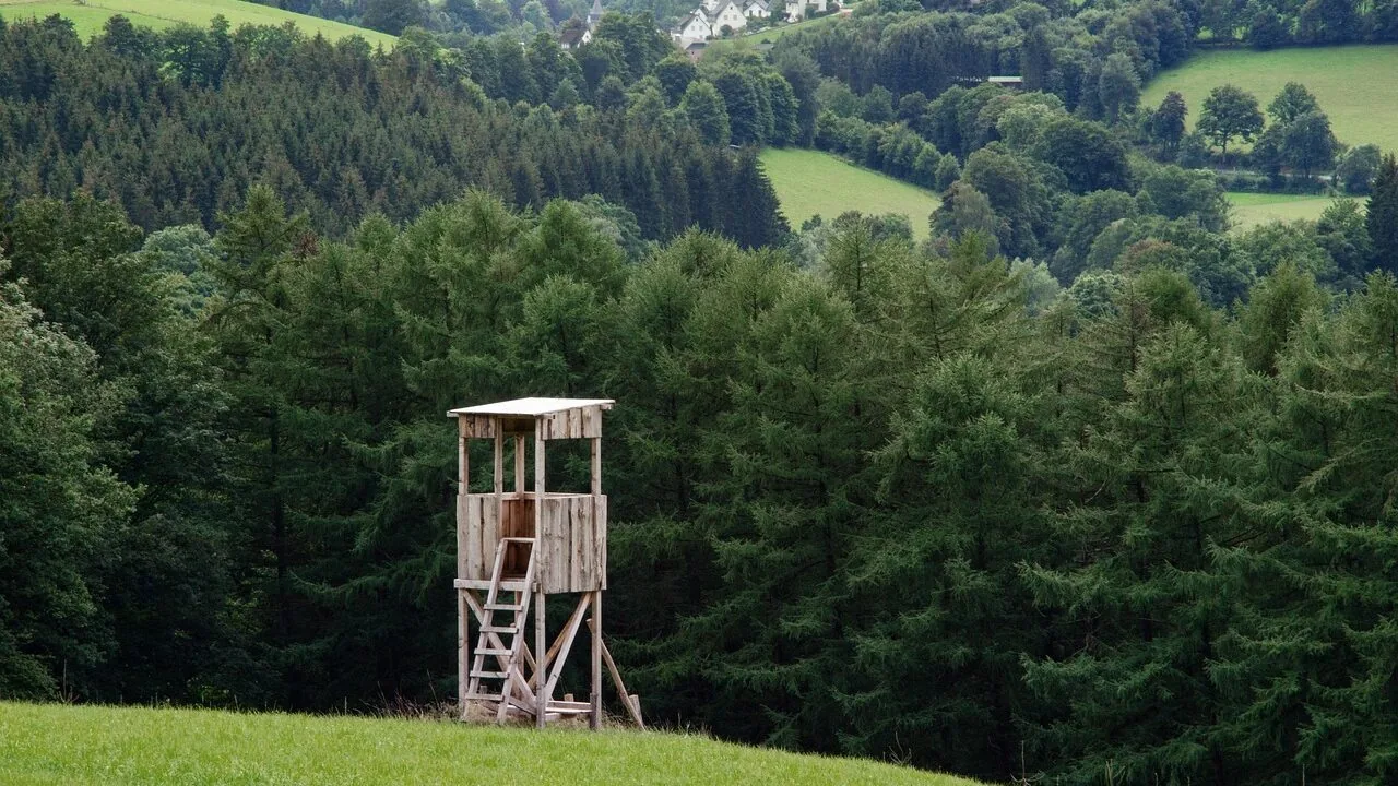 The Best Tree Stands for Hunting Every Season