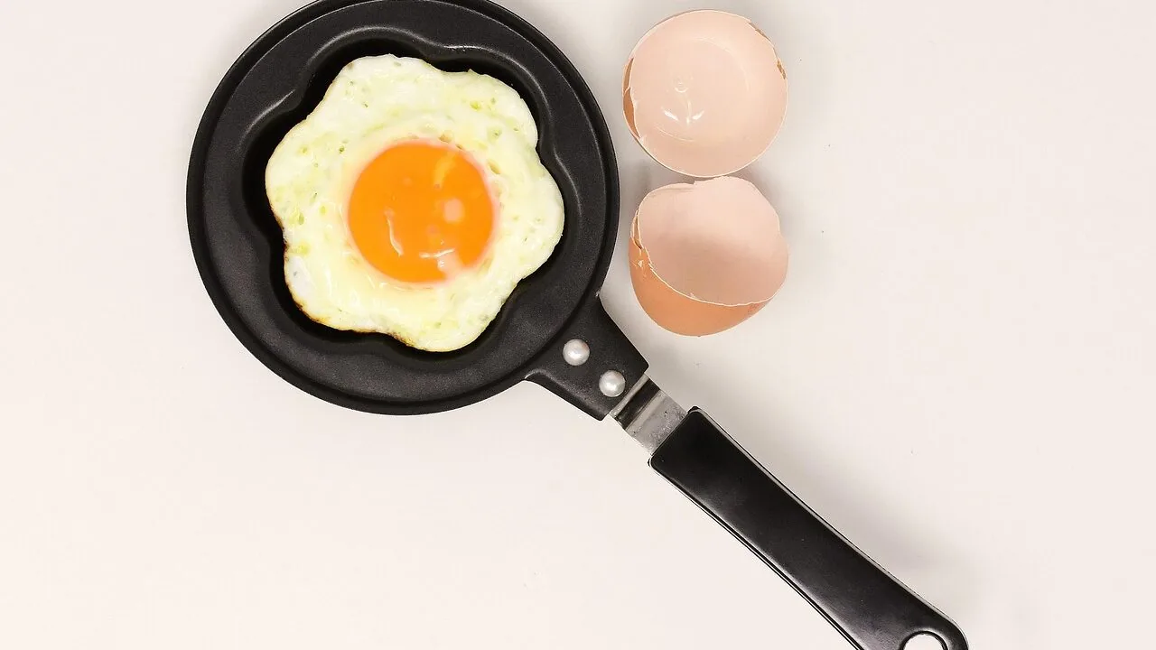 The Best Indoor Grills for Every Kitchen and Budget