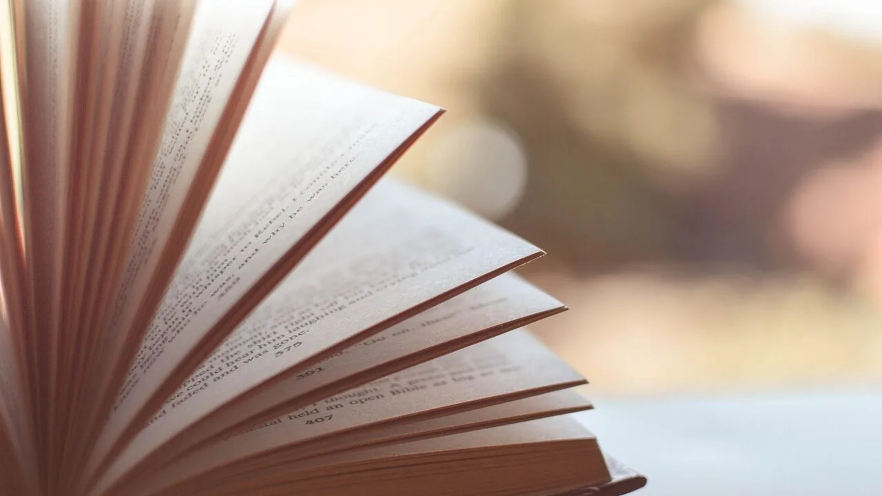 Interactive Learning Books Worth Buying for Every Age
