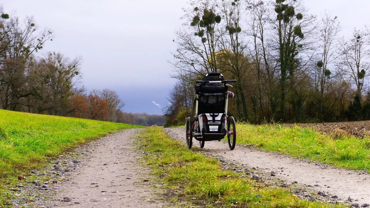 Jogging Strollers Worth Buying for Every Runner