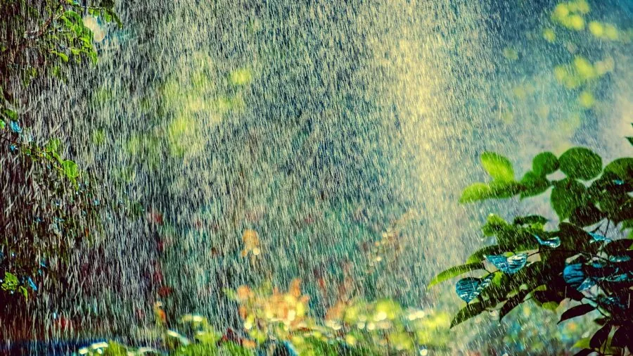 Kids running through water sprinkler in backyard on sunny day