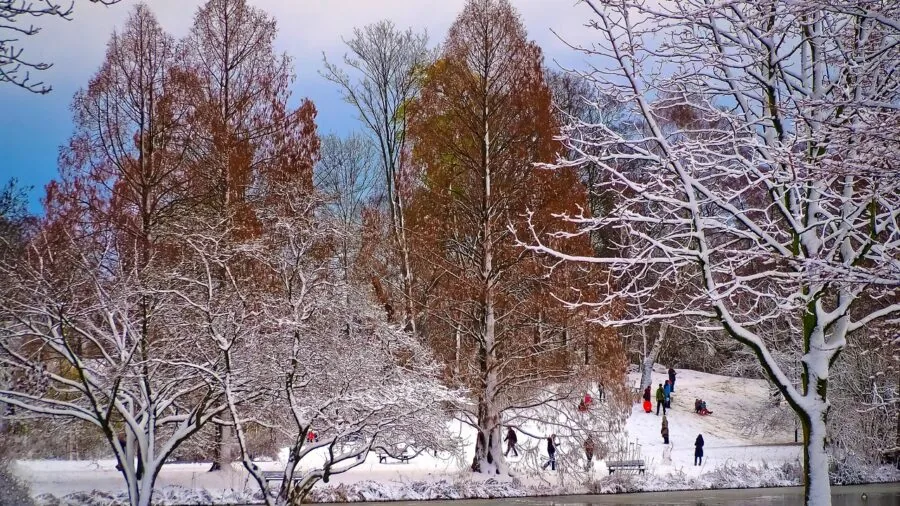 Kids sledding down a snowy hill on a cold winter day