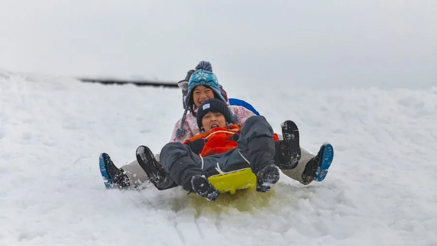 Kids sledding down a snowy hill on a winter day