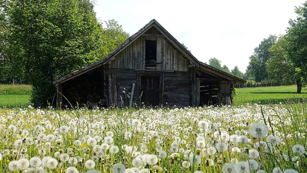 Outdoor Storage Sheds Worth Buying for Every Yard and Budget