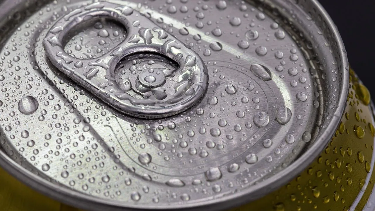 Can Openers Worth Buying for Every Kitchen and Budget
