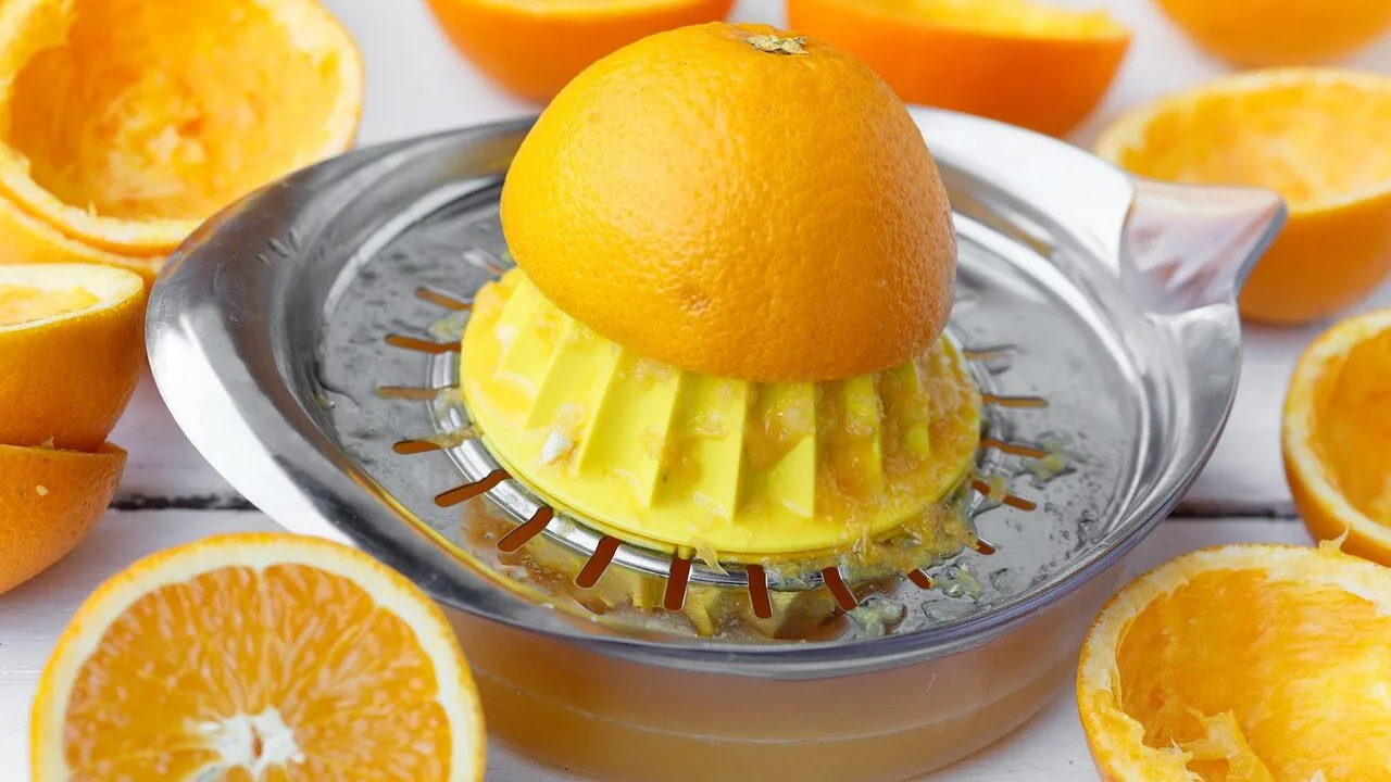 The Best Masticating Juicers for Every Kitchen and Budget