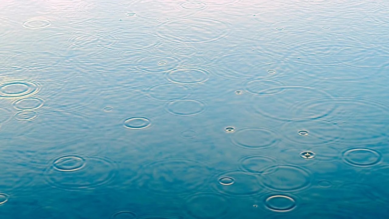 Men's Rain Jackets Worth Buying for Every Budget