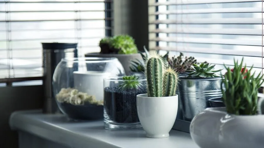 Minimalist home shelf displaying ceramic and wooden decorative objects in natural light