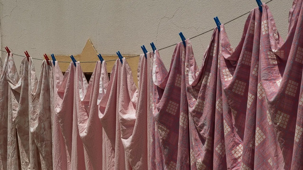 The Best Clothes Dryers for Every Home and Budget