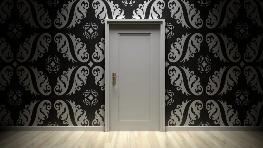 Modern home interior showing doorway entrance to hallway with natural lighting