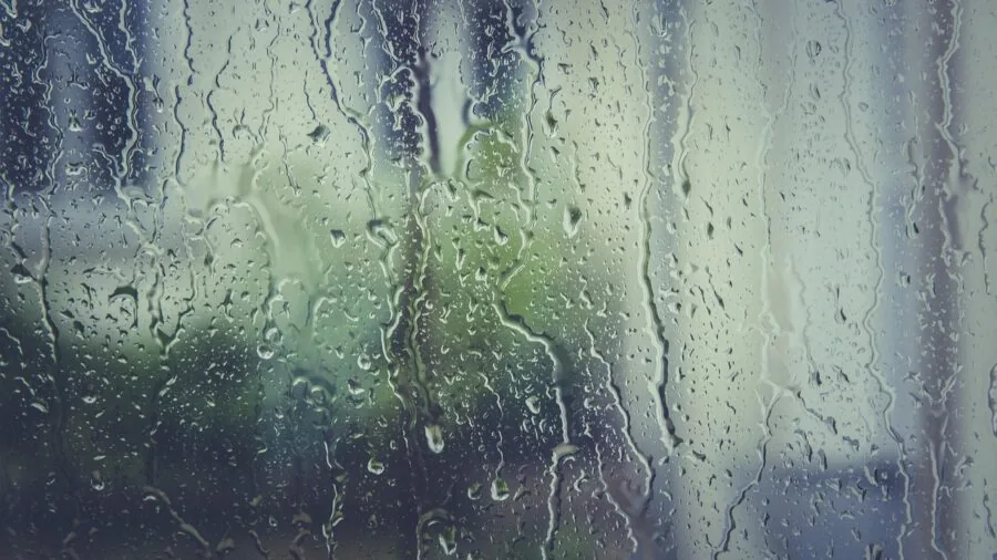 Morning condensation on the inside of a tent wall with natural light filtering through the fabric