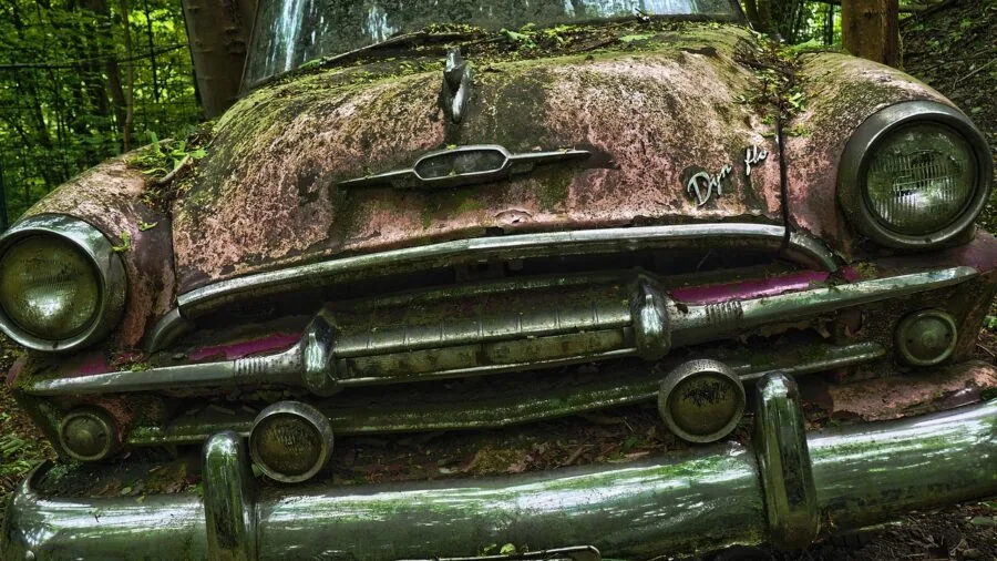 Muddy dog sitting in back seat of car with dirt on fabric upholstery