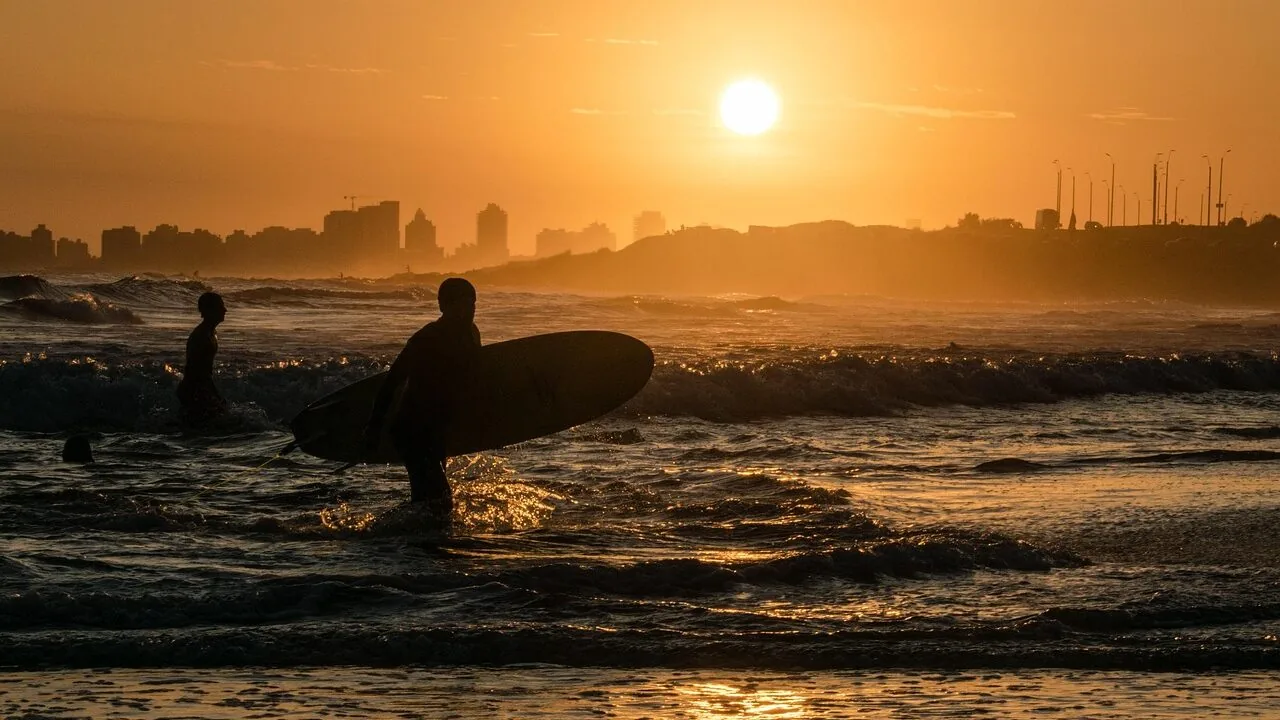 The Best Surfboards for Every Skill Level and Wave