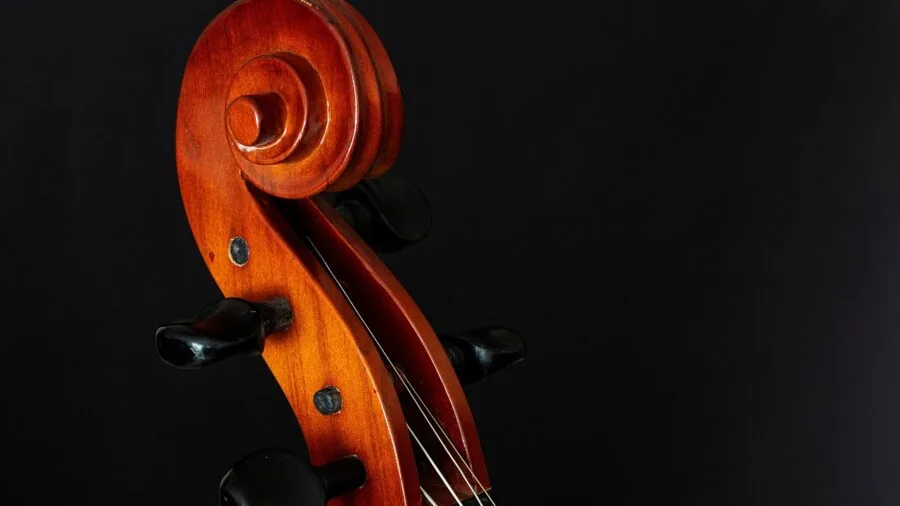 Musician inspecting different wood and material textures for instrument craftsmanship and quality comparison