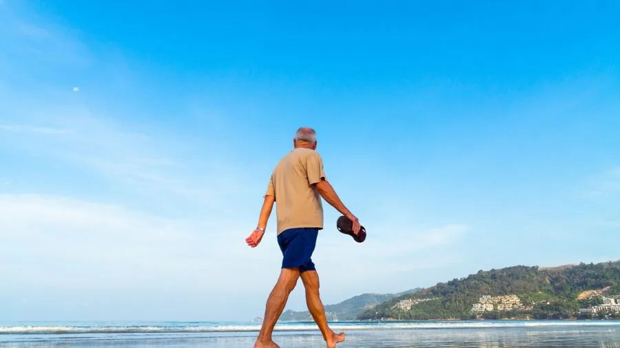 Older dog walking outdoors on sunny path, demonstrating gentle exercise for weight management
