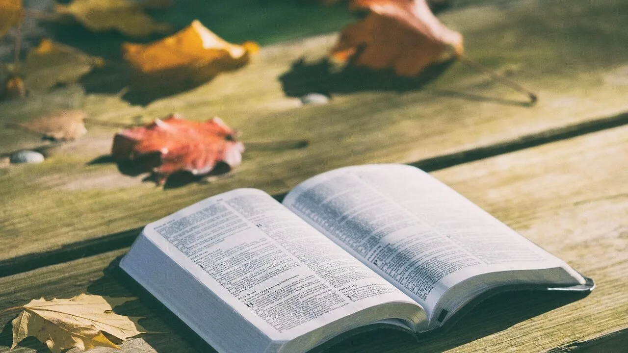 The Best Sticker Books for Kids Worth Buying