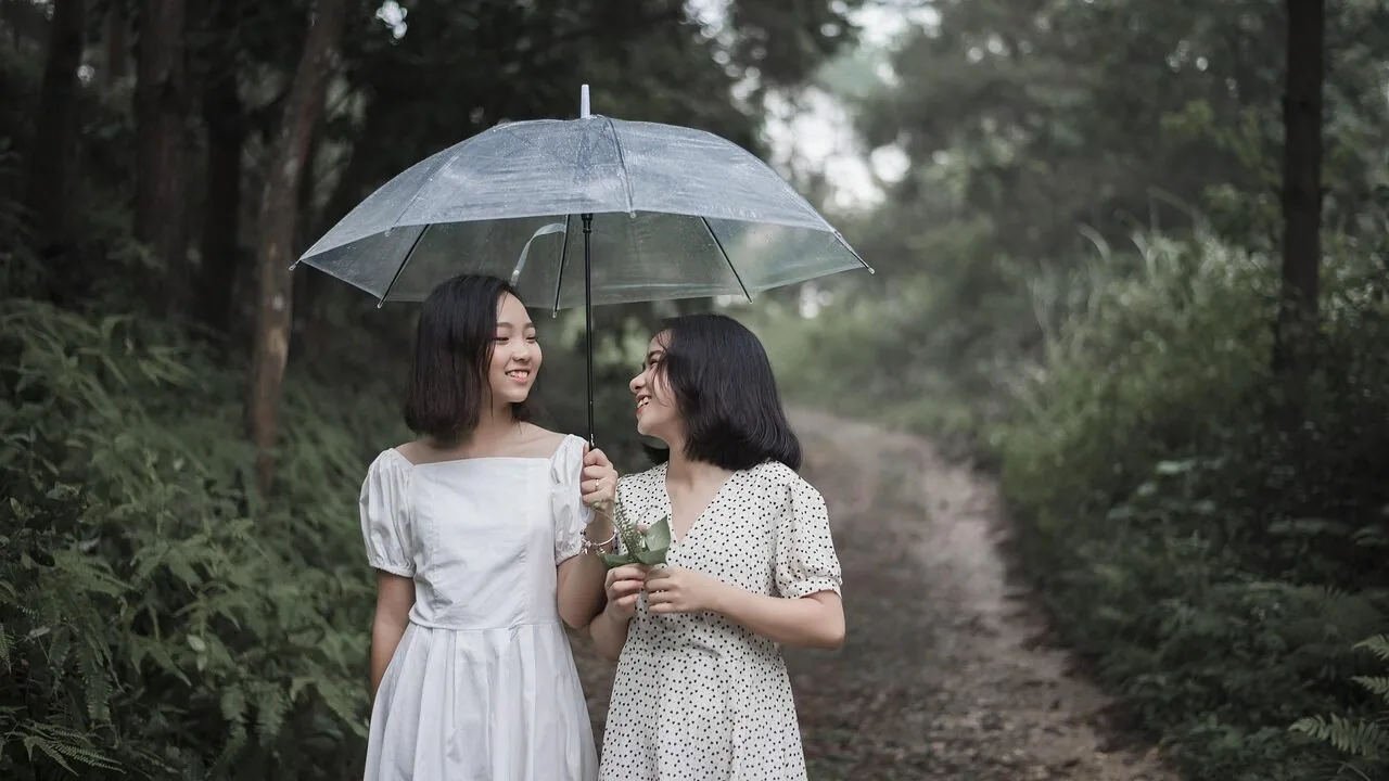 The Best Umbrellas for Every Weather and Budget