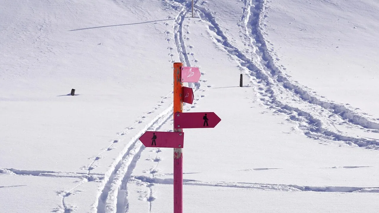 The Best Snowshoes for Every Trail and Terrain