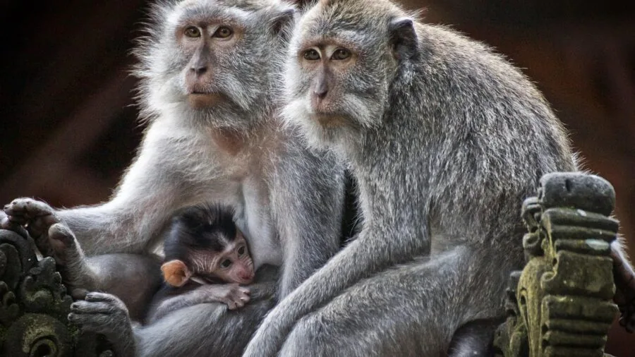 Parent applying sunscreen lotion to baby's back during outdoor playtime in natural sunlight